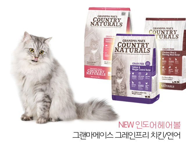슬라이드이미지