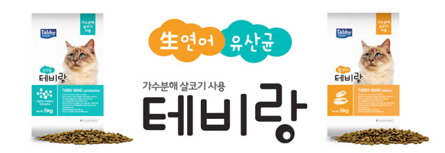 와이드배너
