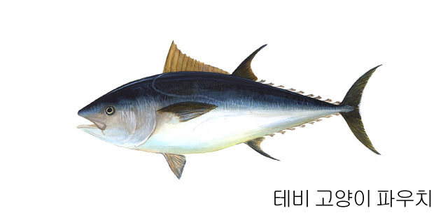 배너이미지
